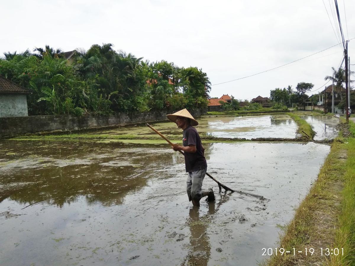Bhuana Alit 2 Ubud Eksteriør bilde