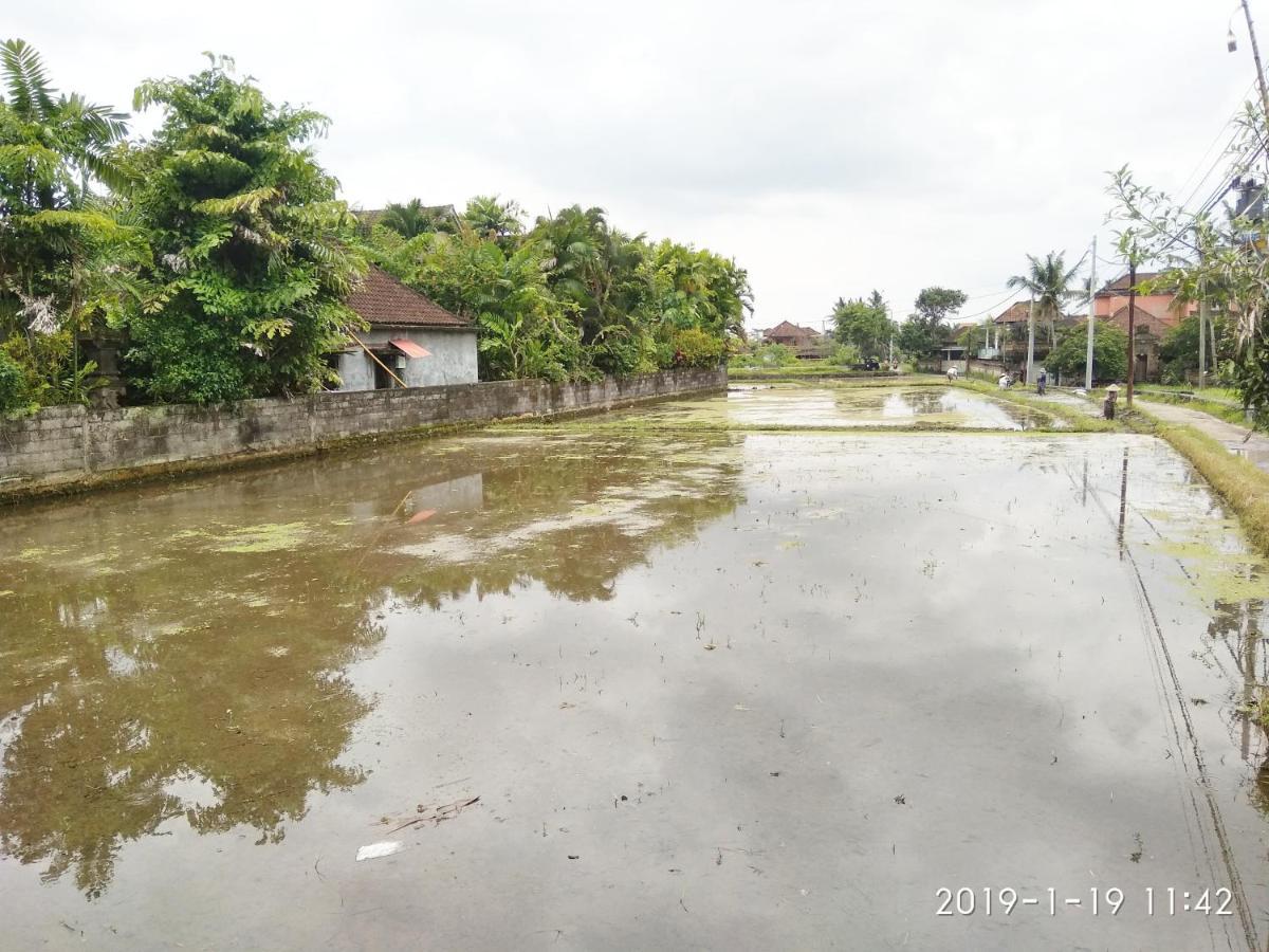 Bhuana Alit 2 Ubud Eksteriør bilde