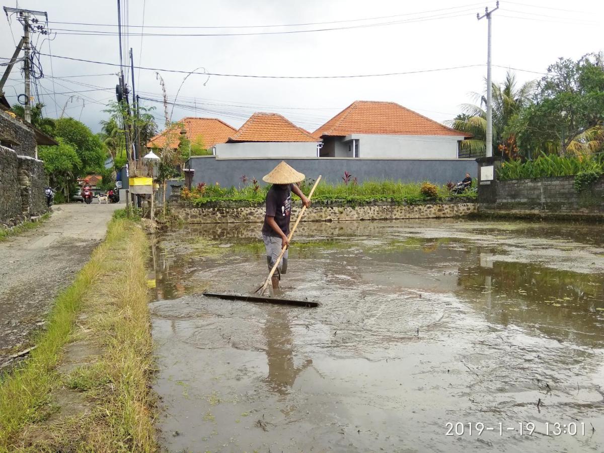 Bhuana Alit 2 Ubud Eksteriør bilde