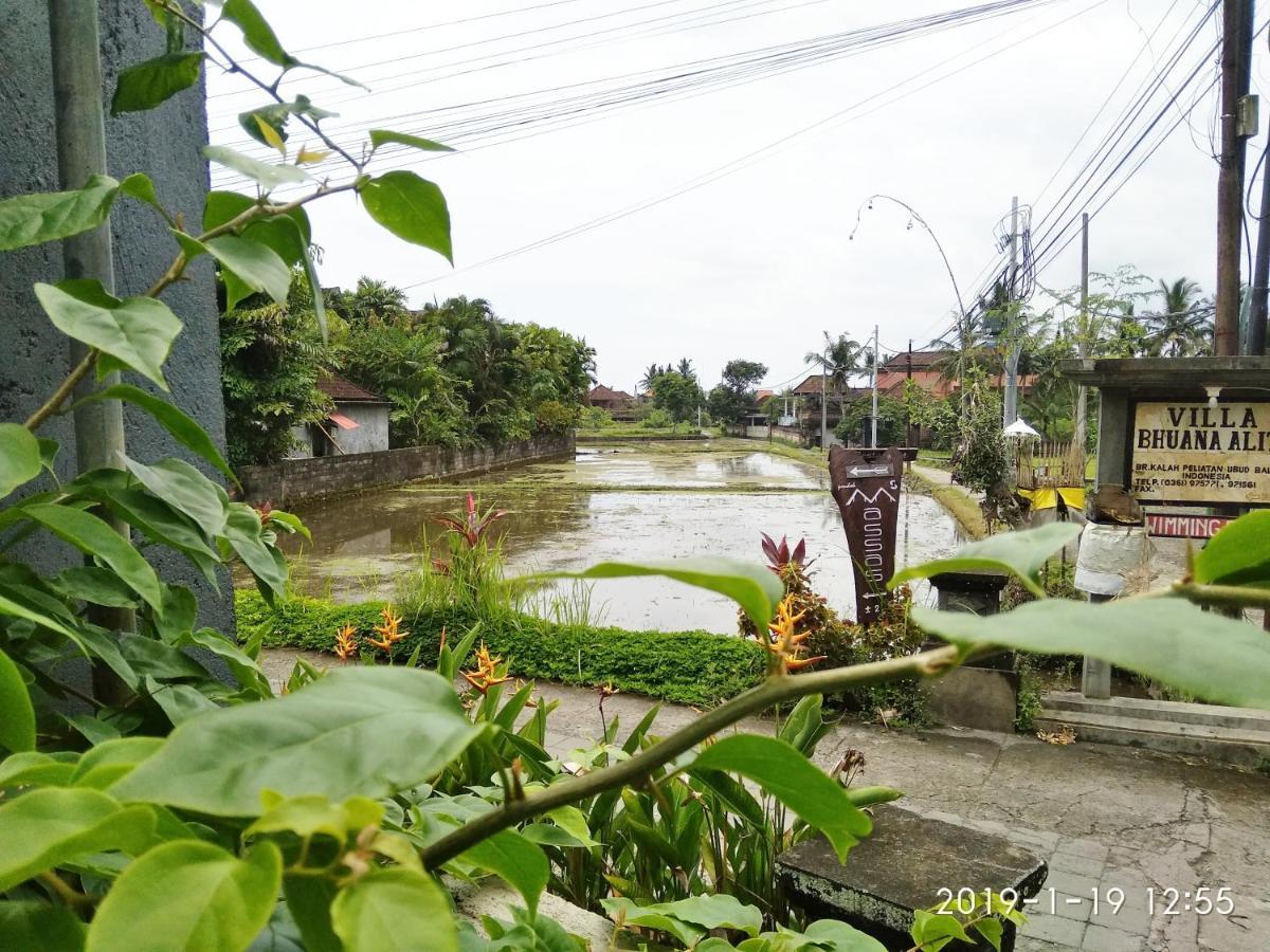 Bhuana Alit 2 Ubud Eksteriør bilde