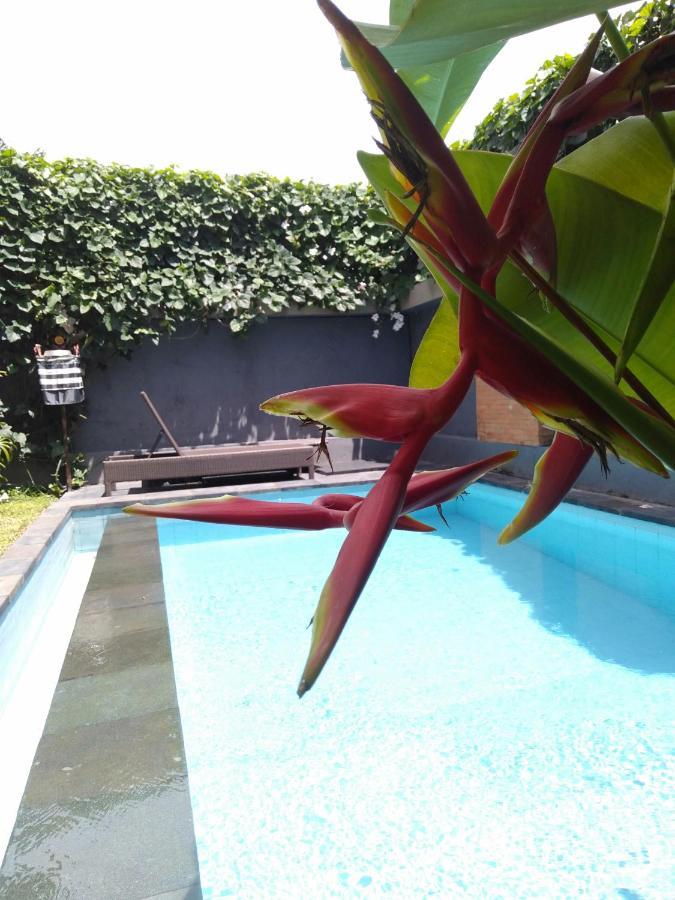 Bhuana Alit 2 Ubud Eksteriør bilde