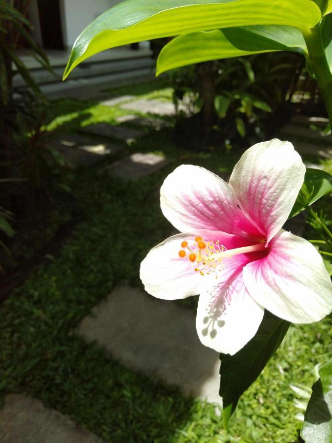 Bhuana Alit 2 Ubud Eksteriør bilde